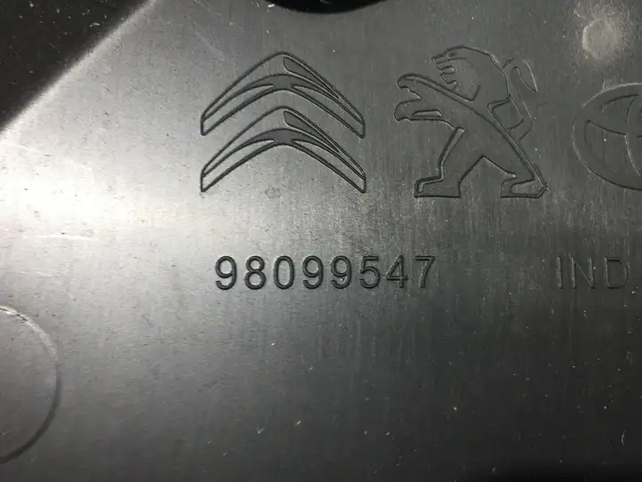 Peugeot Expert (2016 - ) 98099547 Другая деталь раздвижной двери — фото 4