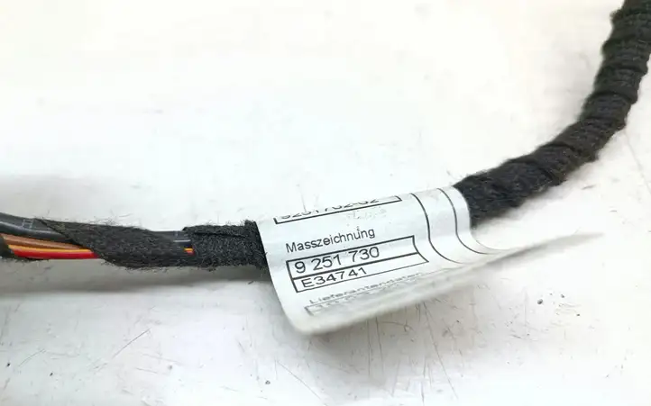 BMW 3 F30 F35 F31 (2012 - 2018) 9251702 Проводка аудиосистемы — фото 3
