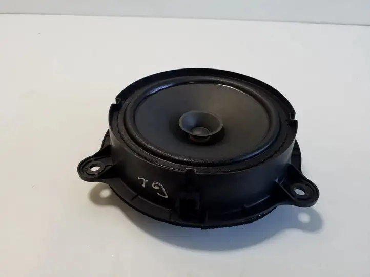 Nissan Qashqai J12 (2021 - ) 281566RA0A Динамики задних дверей — фото 1