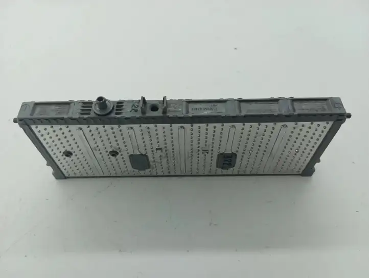 Lexus GS 300 350 430 450h (2004 - 2007) 219PNM10346T Модуль аккумуляторной батареи гибридного автомобиля / электромобиля — фото 4