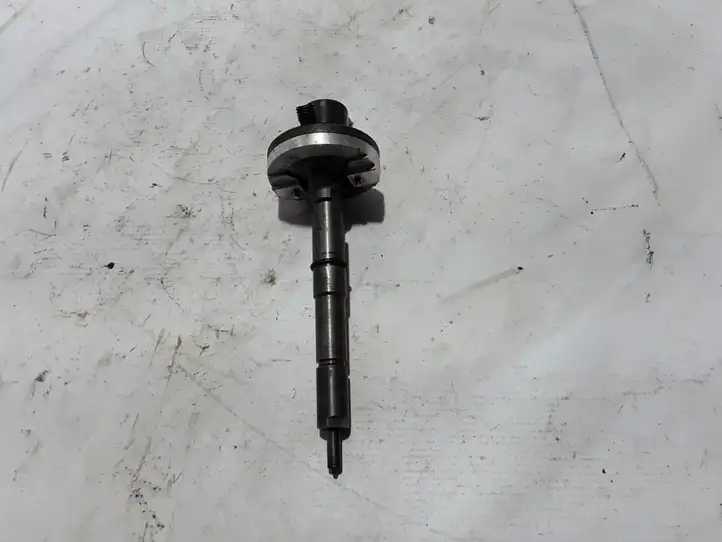 (1990 - 2010) 16600DC002 Форсунка — фото 1