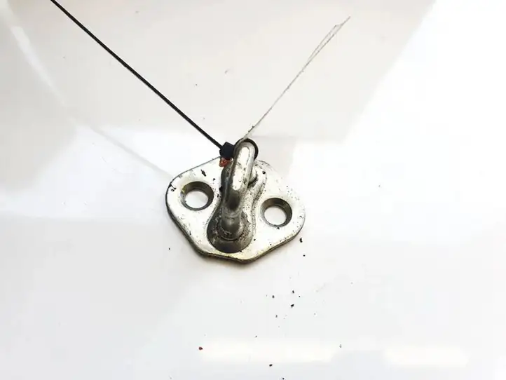 Honda Civic IX (2011 - 2017) Прочие внешние детали — фото 1