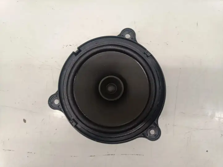 Nissan Qashqai J12 (2021 - ) 281566RA0A Динамики задних дверей — фото 1