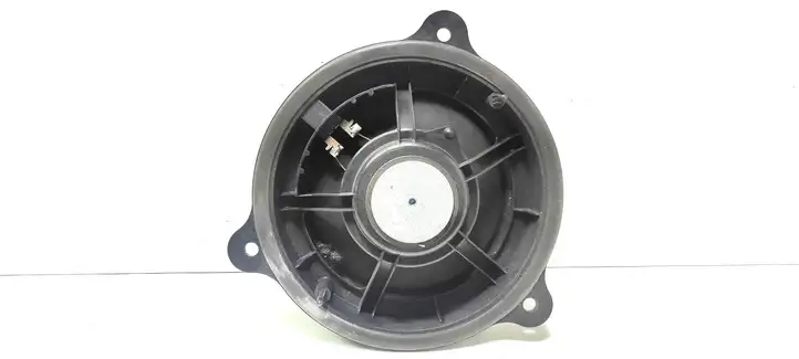 Nissan Qashqai (2010 - 2013) Динамики задних дверей — фото 2