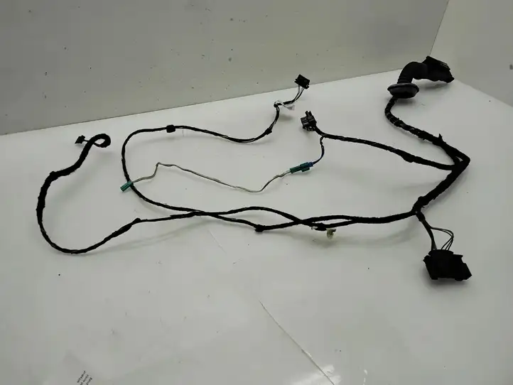BMW 3 F30 F35 F31 (2012 - 2018) 9259999 Проводка передней двери — фото 7