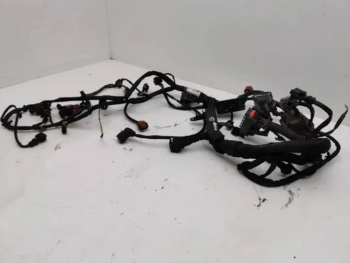 Opel Zafira C (2014 - 2016) 13427879 Проводка двигателя — фото 4