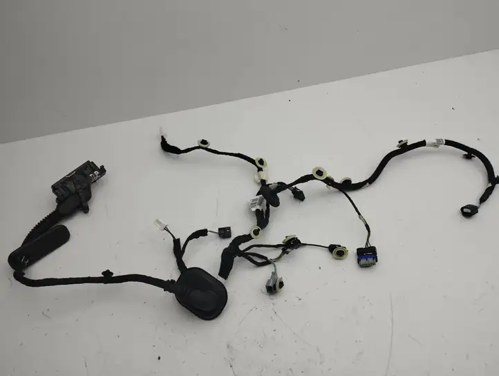Renault Megane E-Tech (2022 - ) 241240356R Проводка передней двери — фото 1