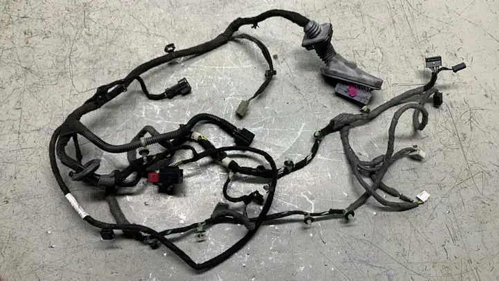 Opel Insignia A (2008 - 2017) 23437755 Проводка передней двери — фото 1