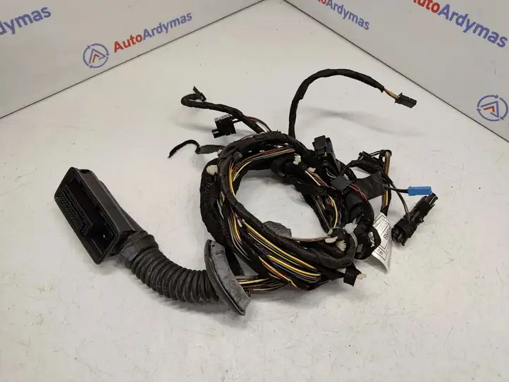 BMW 3 F30 F35 F31 (2012 - 2018) 9300389 Проводка передней двери — фото 1