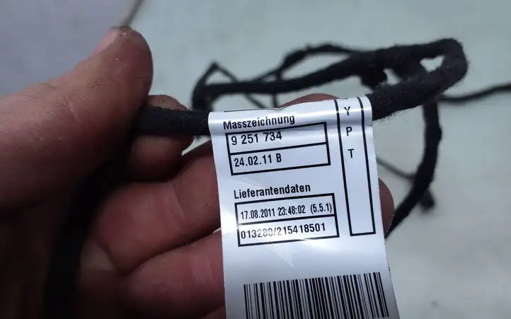 BMW 1 F20 F21 (2011 - 2019) 9251724 Проводка задней двери — фото 6