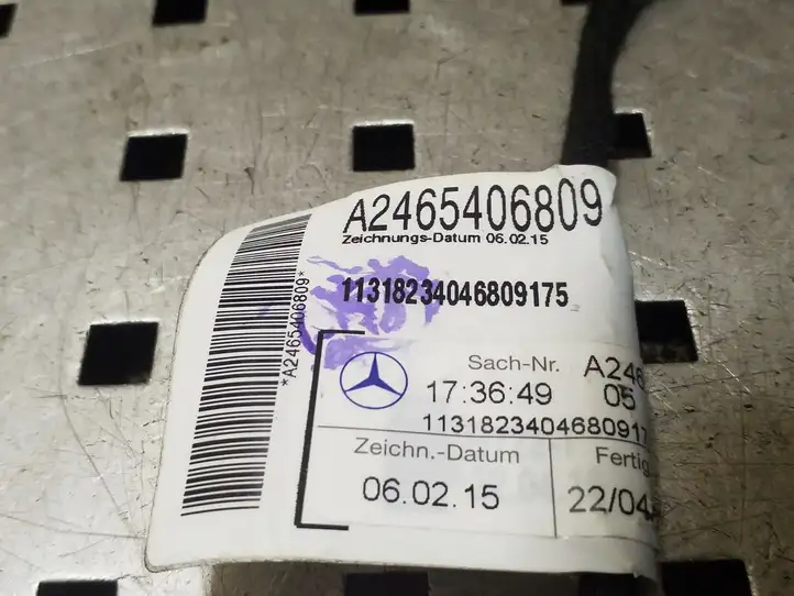 Mercedes-Benz B-class W246 (2014 - 2018) A2465406809 Проводка задней двери — фото 2