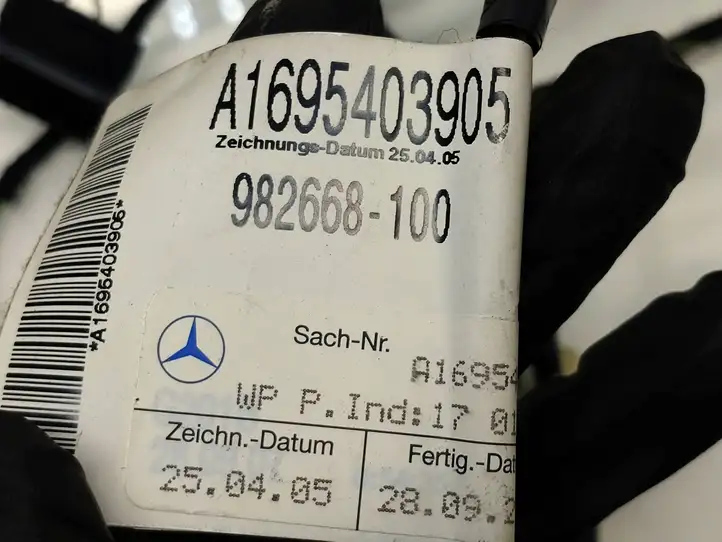 Mercedes-Benz B-class W245 (2005 - 2008) A1695403905 Проводка передней двери — фото 6