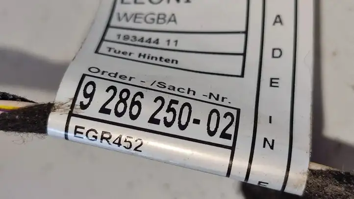 BMW 3 F30 F35 F31 (2012 - 2018) 9286250 Проводка задней двери — фото 3
