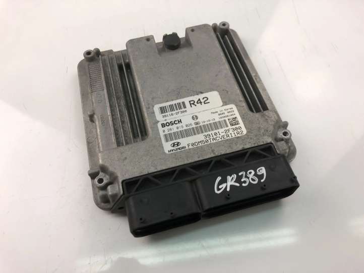 391012F300 KIA Sorento Galios (ECU) modulis