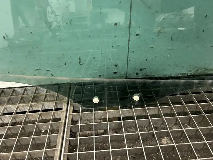 Seat Leon (5F) (2012 - 2019) 43R004524 Стекло задней двери — фото 8