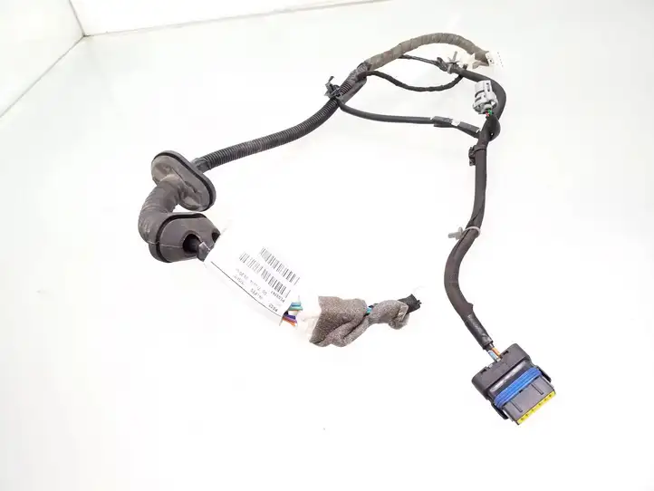 Nissan Qashqai (2006 - 2010) 24127JD10B Проводка задней двери — фото 1