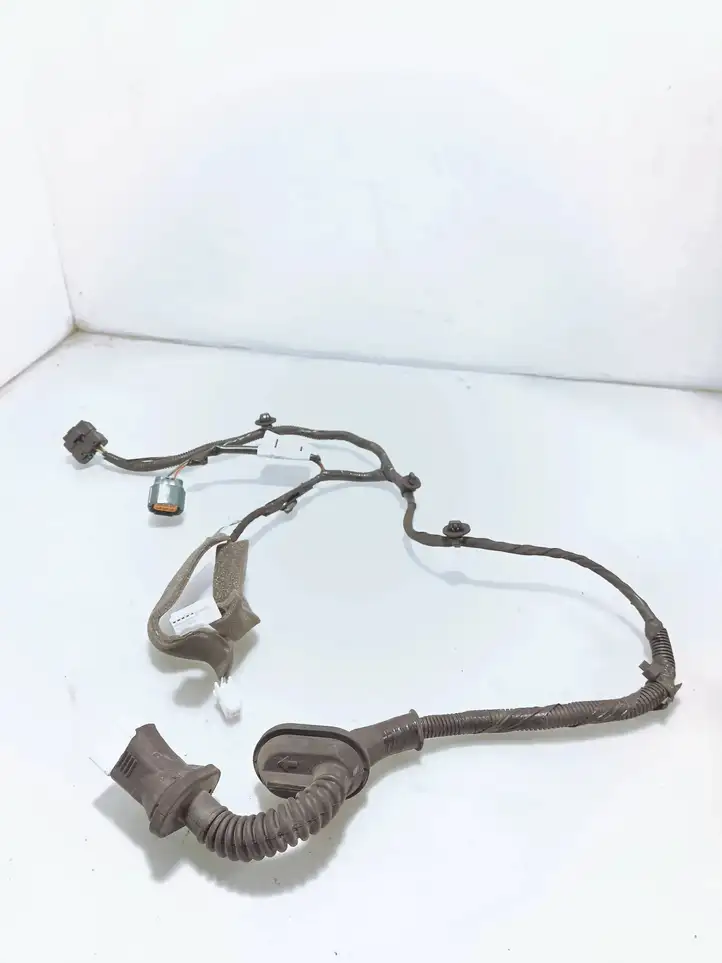 Nissan Juke I F15 (2010 - 2018) 241261KK0A Проводка задней двери — фото 1