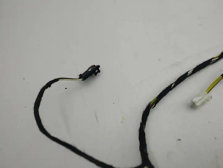 Mercedes-Benz CLS C218,X218 (2011 - 2017)  A2185403405 Проводка задних дверей