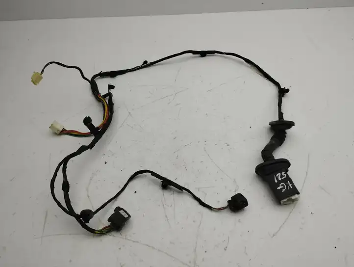 Citroen C-Crosser (2007 - 2013) 8609915 Проводка задней двери — фото 1