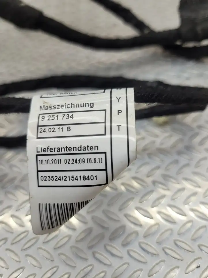 BMW 1 F20 F21 (2011 - 2019) 9251734 Проводка задней двери — фото 2