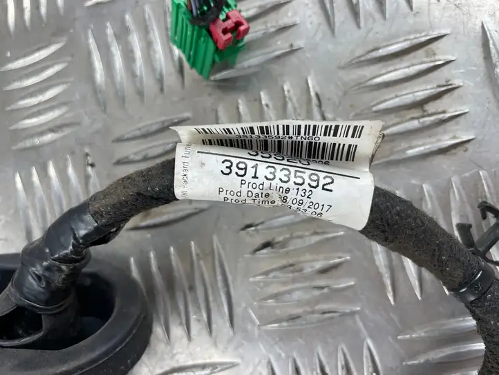 Opel Insignia B (2017 - ) 39133592 Проводка передней двери — фото 2