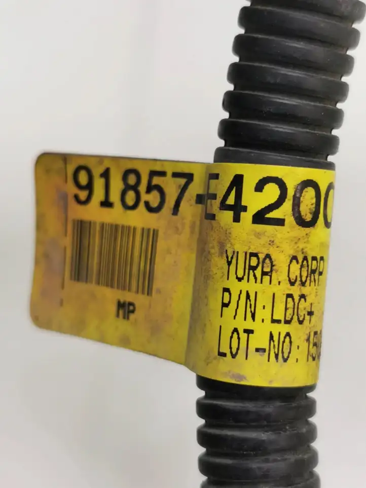 Kia Soul (2014 - 2016) 91857E4200 Плюсовой провод аккумулятора — фото 7