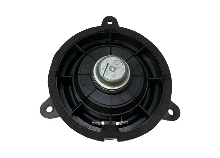 Nissan Qashqai (2010 - 2013) 281567Y300 Динамики задних дверей — фото 3