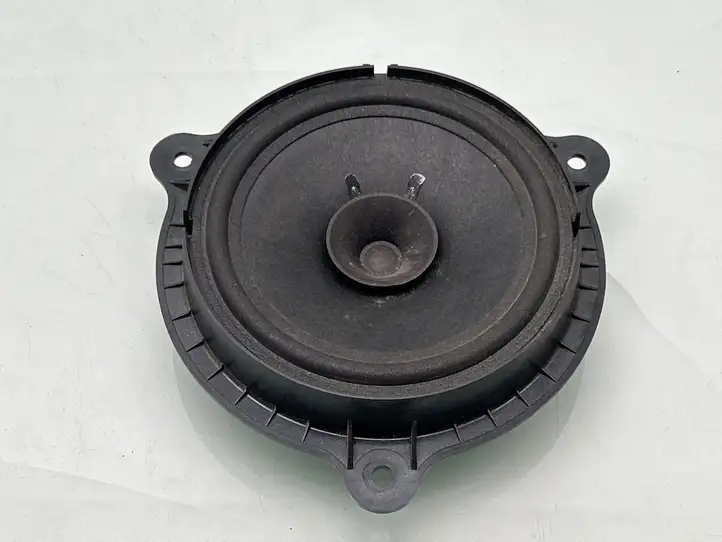Nissan Qashqai (2010 - 2013) Динамики передних дверей — фото 1