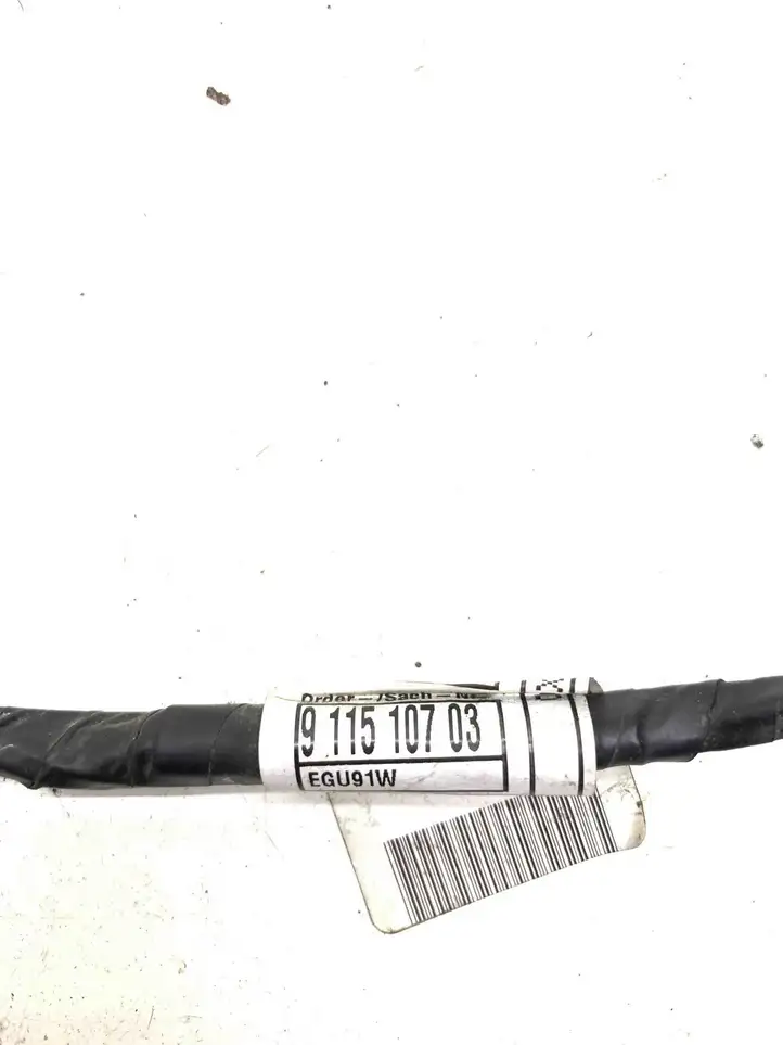 BMW X5 E70 (2006 - 2013) 6954527 Прочая электропроводка — фото 6