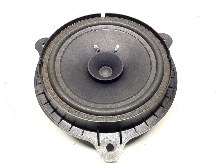 Nissan Qashqai (2010 - 2013) Динамики передних дверей — фото 1