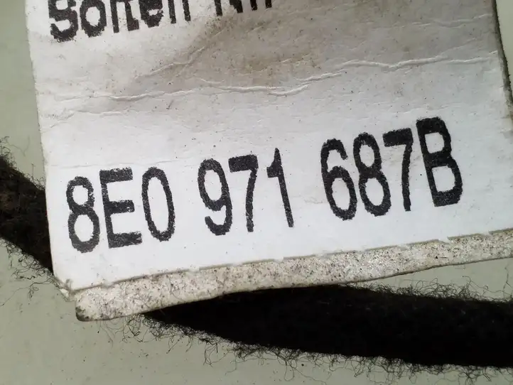 Audi A4 S4 B6 8E 8H (2000 - 2006) 8E0971687B Проводка задней двери — фото 3