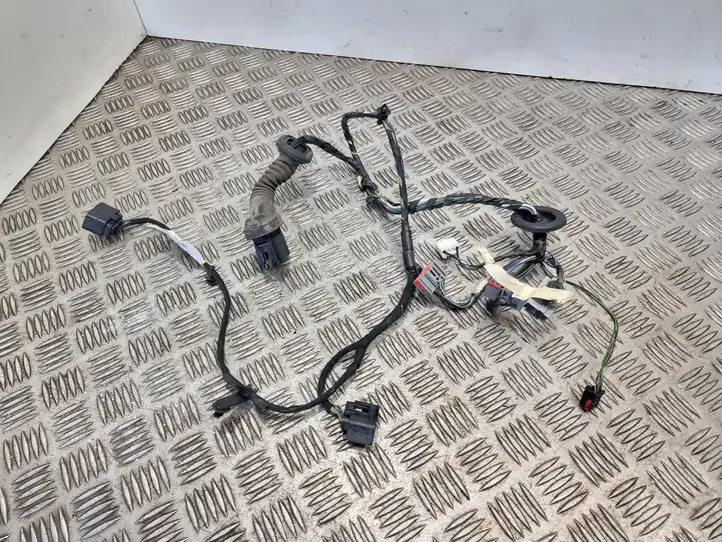 Ford S-Max (2006 - 2010)  9g9t14k138 Проводка передних дверей