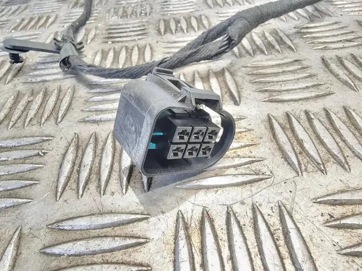 Ford S-Max (2006 - 2010)  9g9t14k138 Проводка передних дверей