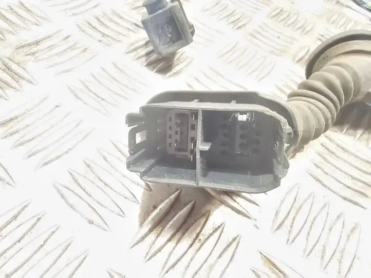 Ford S-Max (2006 - 2010)  9g9t14k138 Проводка передних дверей