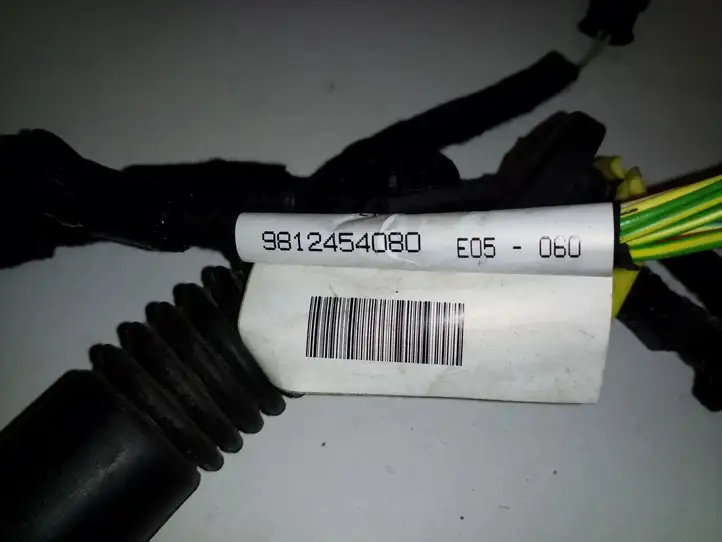 Opel Vivaro (2019 - )  9812454080 Проводка крышки багажника