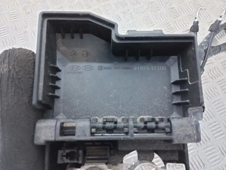 Hyundai i20 (BC3 BI3) (2020 - ) 91850Q0290 Плюсовой провод аккумулятора — фото 8