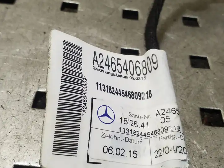 Mercedes-Benz B-class W246 (2014 - 2018) A2465406809 Проводка задней двери — фото 2