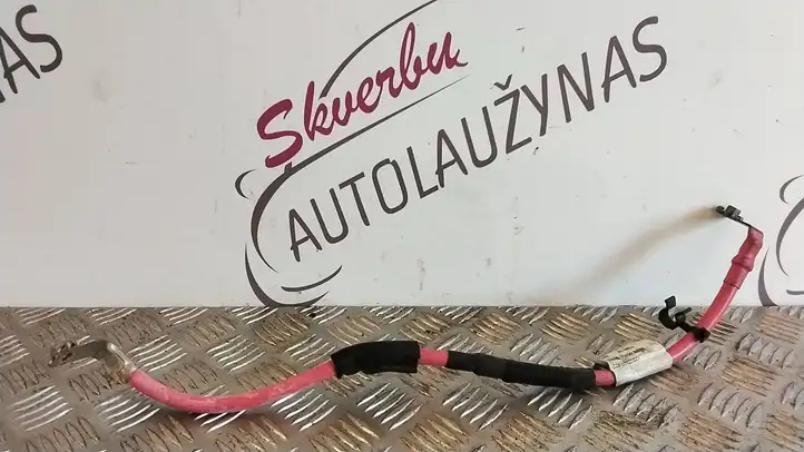 Renault Trafic III (X82) (2014 - ) 240801846R Плюсовой провод аккумулятора — фото 1