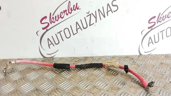 Renault Trafic III (X82) (2014 - ) 240801846R Плюсовой провод аккумулятора — фото 2