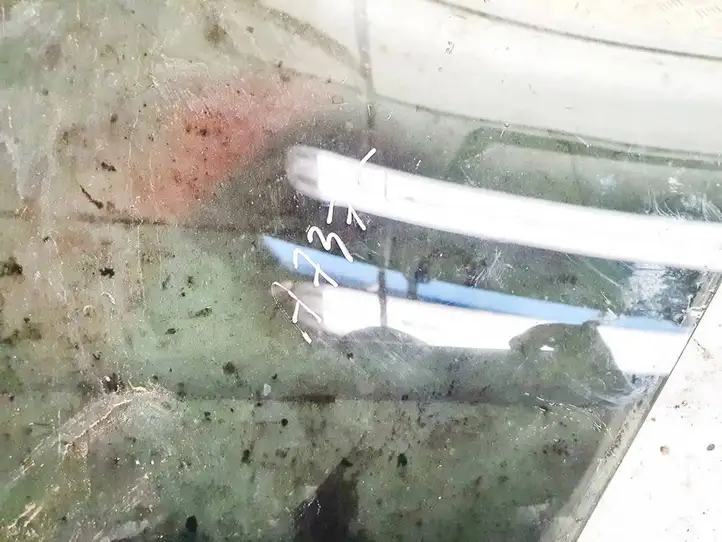 Toyota C-HR (2016 - 2022)   Основное стекло задних дверей