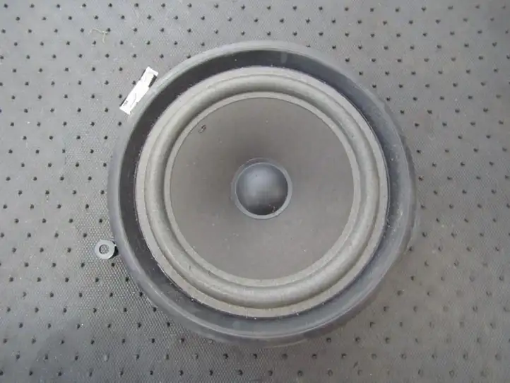 Audi A4 S4 B6 8E 8H (2000 - 2006) 2752507175 Динамики передних дверей — фото 1