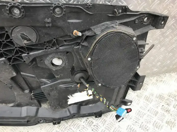 Ford Fiesta (2000 - 2005) xw7f18808ab Динамики передних дверей — фото 1