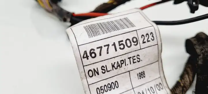 Fiat Doblo (2000 - 2009) 46771509 Проводка передней двери — фото 5