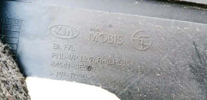Kia Sorento (2002 - 2006) 845413E500 Прочие детали салона — фото 3