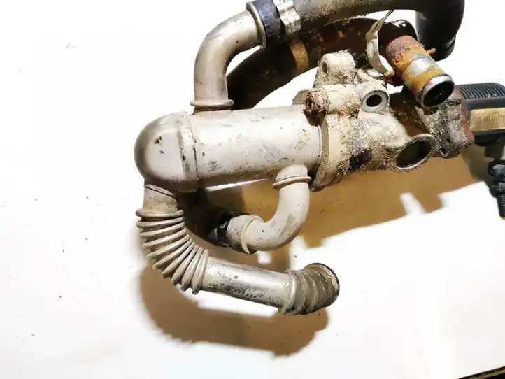 Fiat Doblo (2000 - 2009) Охладитель клапана EGR — фото 2