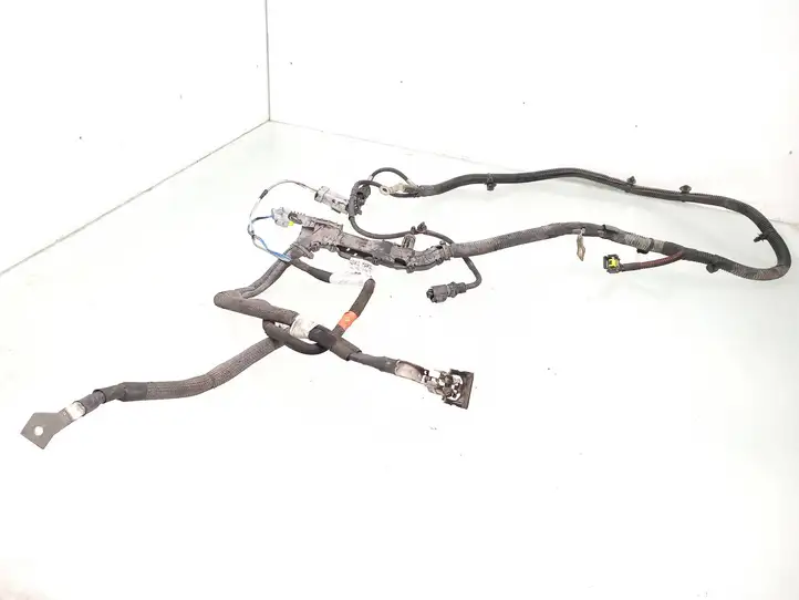 Peugeot Partner (2015 - 2018) 9802048580 Плюсовой провод аккумулятора — фото 1