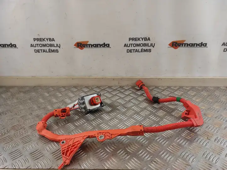 Toyota RAV 4 (XA50) (2018 - ) 821H242020 Прочая электропроводка — фото 1