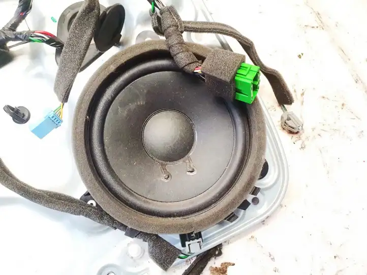 Volvo S80 (2006 - 2009) Динамики передних дверей — фото 2