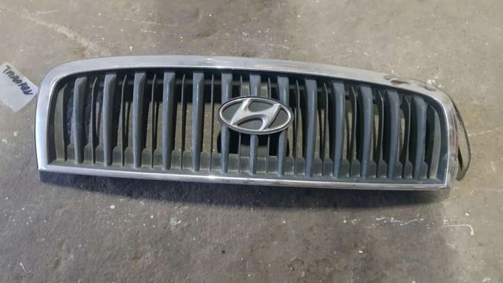 Hyundai Santa Fe Grotelės viršutinės