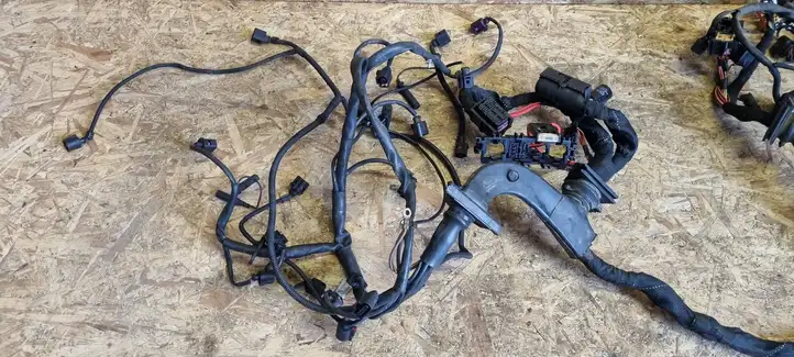 Audi A6 (2008 - 2011)  4F1971072NA Проводка двигателя